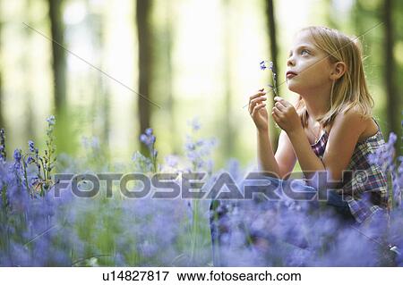 Girl sitting in field of flowers View Large Photo Image Stock Photo - Girl sitting in field of flowers. Fotosearch
