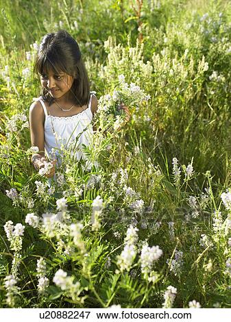 Girl sitting in field of flowers View Large Photo Image Stock Photo - Girl sitting in field of flowers. Fotosearch