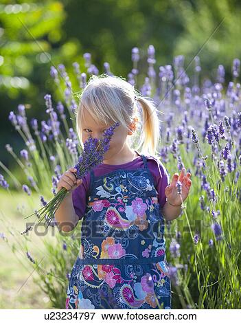 Girl smelling lavender flowers View Large Photo Image Stock Photo - Girl smelling lavender flowers. Fotosearch