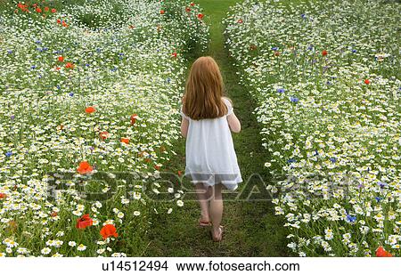 Girl walking in field of flowers View Large Photo Image Picture - Girl walking in field of flowers. Fotosearch