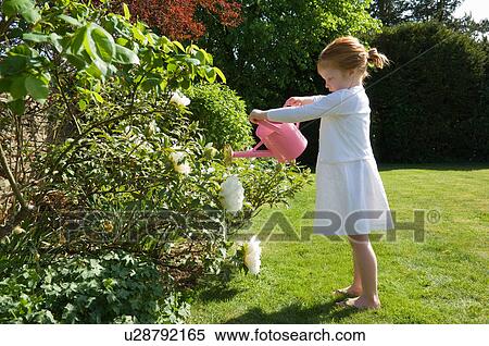 Girl watering flowers in backyard View Large Photo Image Stock Photography - Girl watering flowers in backyard. Fotosearch