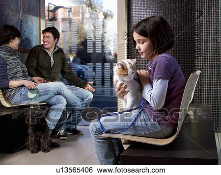 Girl with her cat in vet waiting room View Large Photo Image Stock Photograph - Girl with her cat in vet waiting room. Fotosearch
