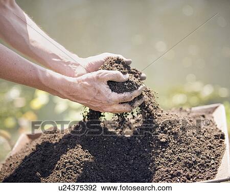 Stock Image - Hands cupping handful of soil. Fotosearch