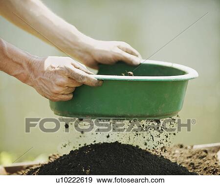 Hands sifting soil outdoors View Large Photo Image Stock Photo - Hands sifting soil outdoors. Fotosearch