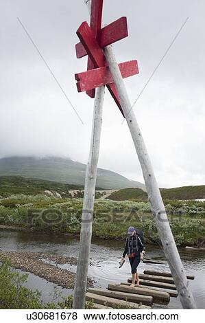 Hiker walking on logs over river View Large Photo Image Stock Photo - Hiker walking on logs over river. Fotosearch