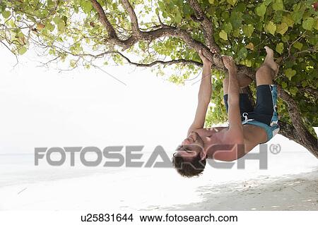 Picture - Man climbing tree on tropical beach. Fotosearch