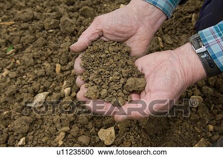 Stock Image - Man cupping dirt with his hands. Fotosearch