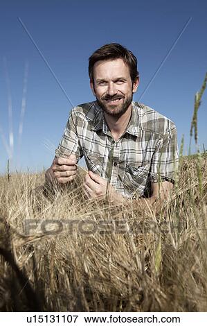 Man examining wheat in field View Large Photo Image Stock Photo - Man examining wheat in field. Fotosearch