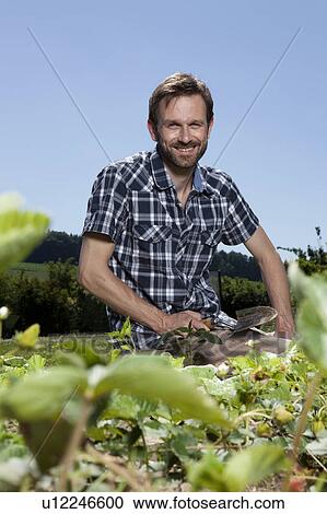 Stock Image - Man gardening in backyard. Fotosearch