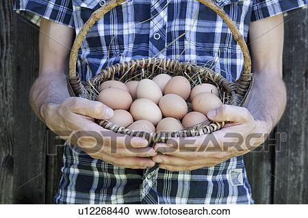 Man holding basket of eggs View Large Photo Image Stock Image - Man holding basket of eggs. Fotosearch