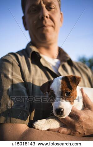 Man holding puppy View Large Photo Image Stock Image - Man holding puppy. Fotosearch