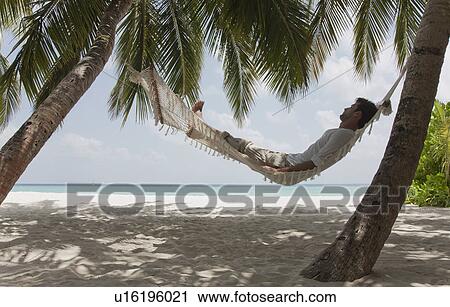 Man laying in hammock on beach View Large Photo Image Stock Image - Man laying in hammock on beach. Fotosearch