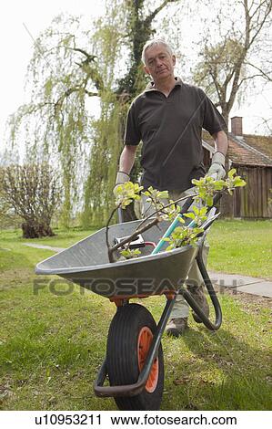 Man pushing wheelbarrow in backyard View Large Photo Image Stock Image - Man pushing wheelbarrow in backyard. Fotosearch