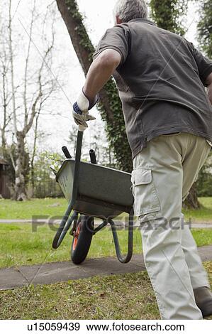 Man pushing wheelbarrow in backyard View Large Photo Image Stock Photo - Man pushing wheelbarrow in backyard. Fotosearch