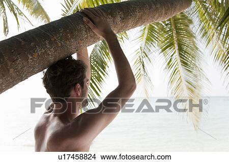 Picture - Man relaxing under palm tree at beach. Fotosearch