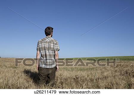 Man standing in wheat field View Large Photo Image Stock Photo - Man standing in wheat field. Fotosearch