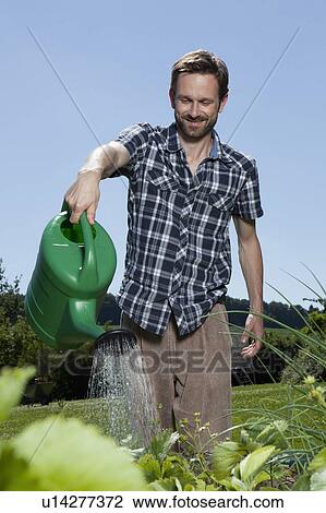 Man watering plans in backyard View Large Photo Image Stock Image - Man watering plans in backyard. Fotosearch