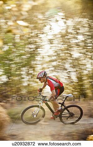 Mountain biker riding in forest View Large Photo Image Stock Image - Mountain biker riding in forest. Fotosearch