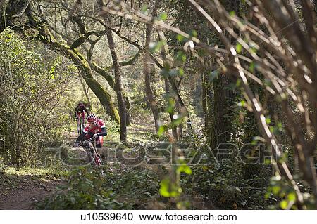 Stock Image - Mountain bikers riding through forest. Fotosearch