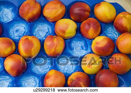 Nectarine in packing tray View Large Photo Image Stock Photo - Nectarine in packing tray. Fotosearch