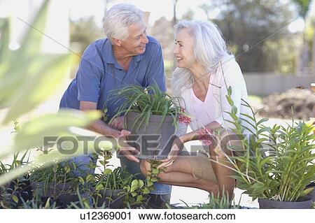Stock Image - Older couple gardening together. Fotosearch
