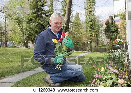 Older man cutting flowers in backyard View Large Photo Image Stock Photo - Older man cutting flowers in backyard. Fotosearch
