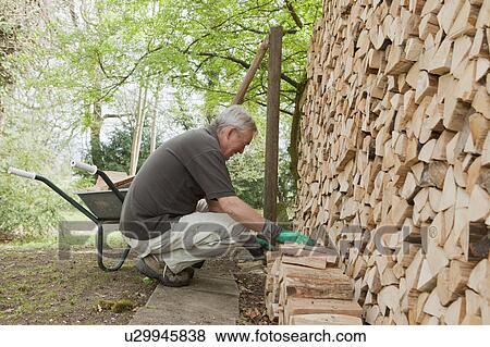 Stock Photo - Older man piling wood into wheelbarrow. Fotosearch
