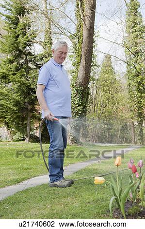 Stock Image - Older man watering flowers in backyard. Fotosearch