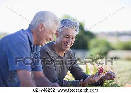 Older men examining garden together View Large Photo Image Stock Image - Older men examining garden together. Fotosearch