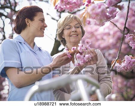 Stock Image - Older woman with caretaker and blossoms. Fotosearch