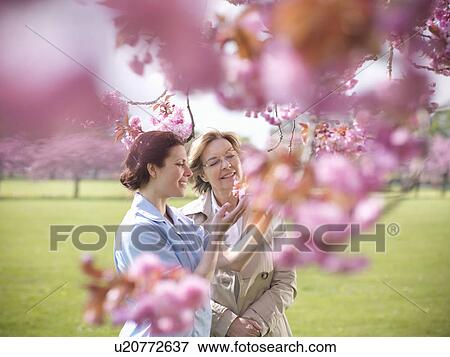 Older woman with caretaker in park View Large Photo Image Stock Photo - Older woman with caretaker in park. Fotosearch