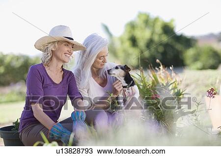 Stock Image - Older women examining garden together. Fotosearch