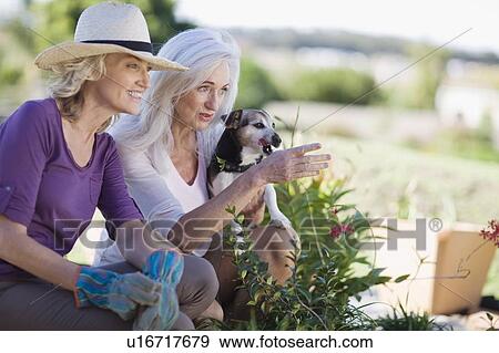Stock Photo - Older women examining garden together. Fotosearch