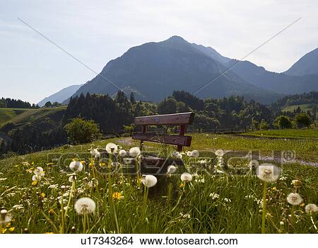 Park bench in rural field View Large Photo Image Picture - Park bench in rural field. Fotosearch