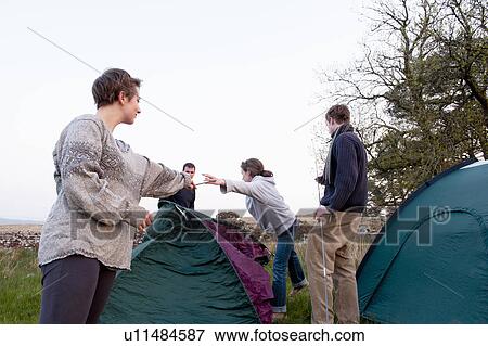 People pitching tents at campsite View Large Photo Image Stock Photo - People pitching tents at campsite. Fotosearch