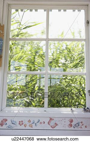 Plants growing outside window View Large Photo Image Stock Photo - Plants growing outside window. Fotosearch
