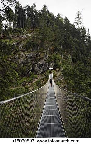 Rope bridge over forest View Large Photo Image Stock Photo - Rope bridge over forest. Fotosearch