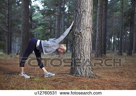 Runner stretching in forest View Large Photo Image Stock Image - Runner stretching in forest. Fotosearch