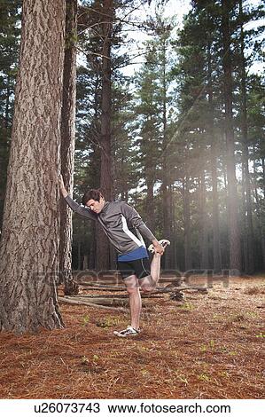 Runner stretching in forest View Large Photo Image Stock Image - Runner stretching in forest. Fotosearch