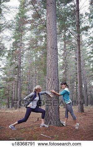 Runners stretching in forest View Large Photo Image Stock Image - Runners stretching in forest. Fotosearch