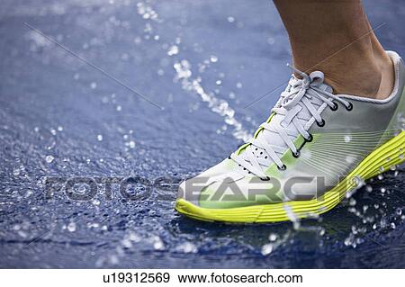 Running shoe splashing water on track View Large Photo Image Stock Photo - Running shoe splashing water on track. Fotosearch