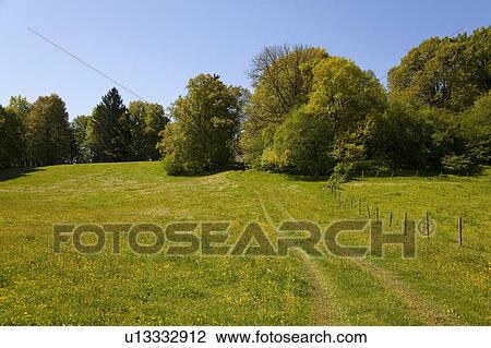 Stock Image - Rural road with fence in field. Fotosearch