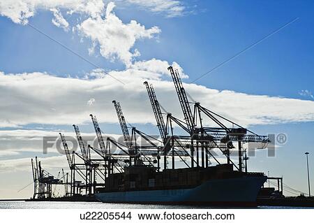 Picture - Silhouette of cranes against blue sky. Fotosearch