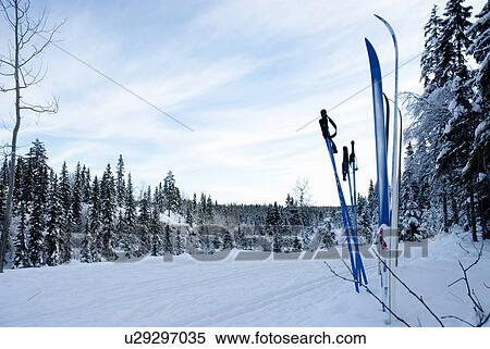 Stock Photography - Ski poles and canes stuck in snow. Fotosearch