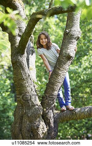 Smiling girl climbing tree outdoors View Large Photo Image Picture - Smiling girl climbing tree outdoors. Fotosearch