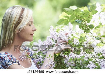 Smiling woman picking flowers View Large Photo Image Stock Photo - Smiling woman picking flowers. Fotosearch