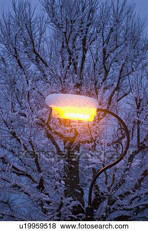 Stock Photo - Snow on streetlight at night. Fotosearch