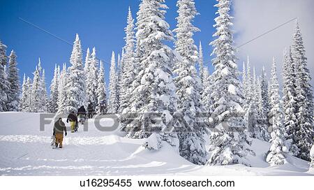 Snowboarders walking up hillside View Large Photo Image Stock Photography - Snowboarders walking up hillside. Fotosearch