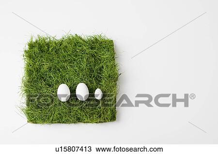 Three eggs on patch of grass View Large Photo Image Stock Image - Three eggs on patch of grass. Fotosearch