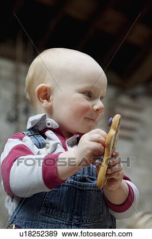 Toddler boy holding cookie in kitchen View Large Photo Image Stock Photo - Toddler boy holding cookie in kitchen. Fotosearch